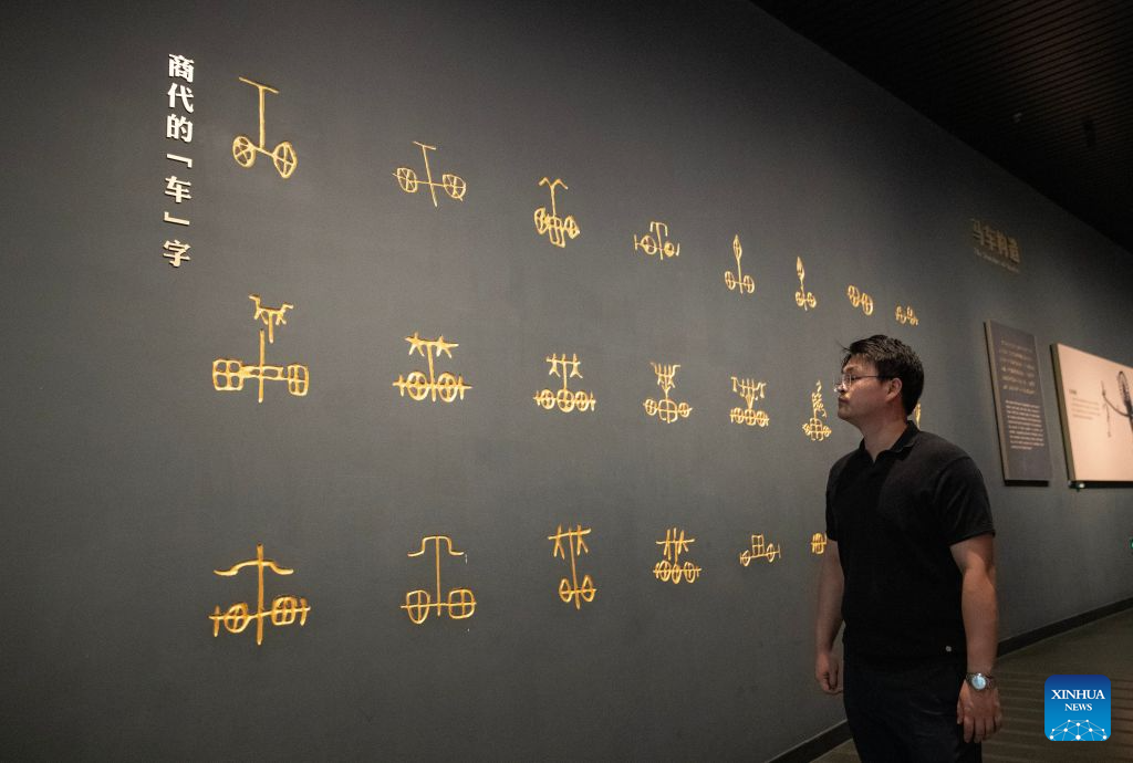 A man visits the Yinxu Museum in Anyang, central China's Henan Province, Sept. 12, 2026. The new Yinxu Museum is the first major national thematic archaeological museum dedicated to panoramically showcasing the ancient Shang civilization.
In terms of exhibition layout, the museum focuses on the theme of The Great Shang Civilization. It features three permanent exhibitions, four thematic exhibitions, and one immersive digital exhibition. Nearly 4,000 artifacts (sets) are displayed, including bronze ware, pottery, jade, and oracle bones.
Since the official opening of the new museum in February 2024, the museum has continued to grow in popularity, making the Shang civilization thrive with renewed vitality in the new era. To date, it has received a total of 6.1 million tourists accumulatively. (Xinhua/Zhang Fan)