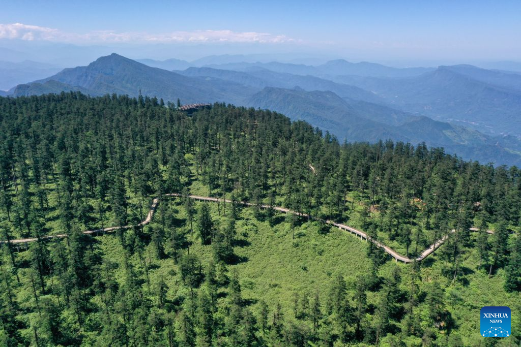 An aerial drone photo taken on July 19, 2026 shows a hiking trail on the Wawu Mountain in Hongya County, southwest China's Sichuan Province. Known for its distinctive table-mountain landform, Wawu Mountain features a summit plateau covering about 11 square kilometers, making it a popular tourist destination. (Xinhua/Xu Bingjie)