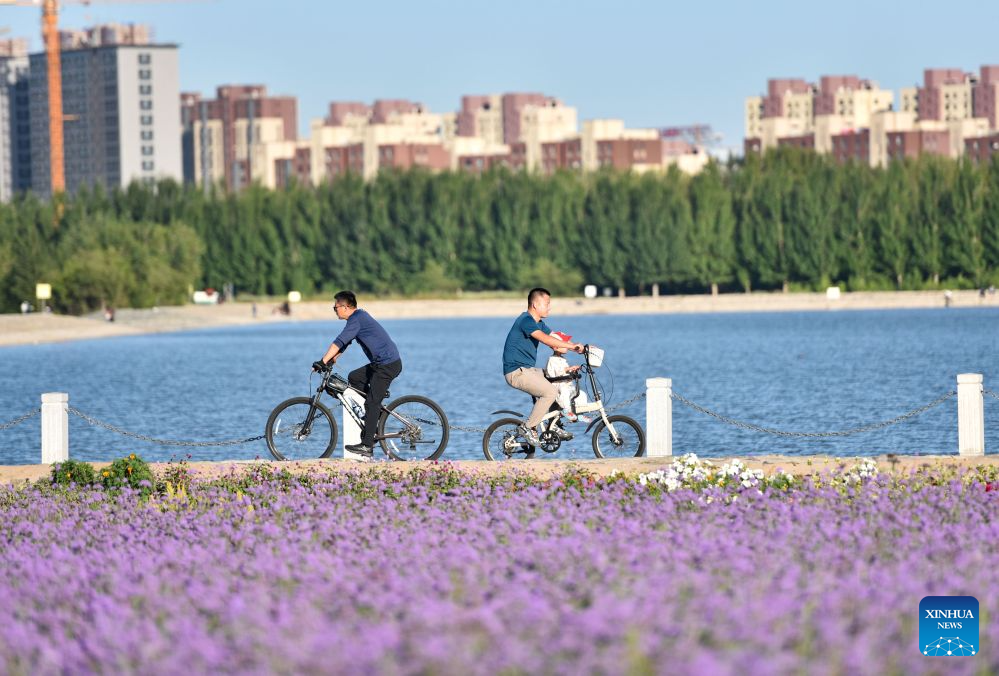 People ride bikes at a lavender field in Tongliao City, north China's Inner Mongolia Autonomous Region, Aug. 9, 2026. (Photo by Wu Xiaoying/Xinhua)