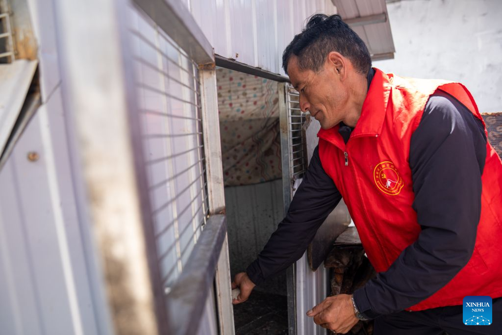 A rescuer feeds poultry at a villager's home in mudslide-affected Gyirong County, southwest China's Xizang Autonomous Region, Sept. 1, 2026. A deadly mudslide, caused by an ice-rock avalanche in Nepal on Aug. 26, 2026, led to interruption of roads, communication and power around the Gyirong Port in Gyirong County. Saleb Township of the county is close to the source of this mudslide disaster, and residents of three villages in the township have been quickly evacuated to safe areas after the disaster.

However, the villagers are worried about their poultry, livestock and farmland. Rescuers from the Saleb Township went to the evacuated villages at regular intervals every day to help the villagers feed their poultry and livestock, patrol the villages, and safeguard their property. (Xinhua/Tenzing Nima Qadhup)