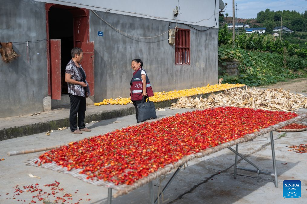 Wang Ju (R) talks to a villager in Lianghe Village, Lianghekou Town, Zigui County of Yichang, central China's Hubei Province, Aug. 15, 2026. (Xinhua/Du Zixuan)