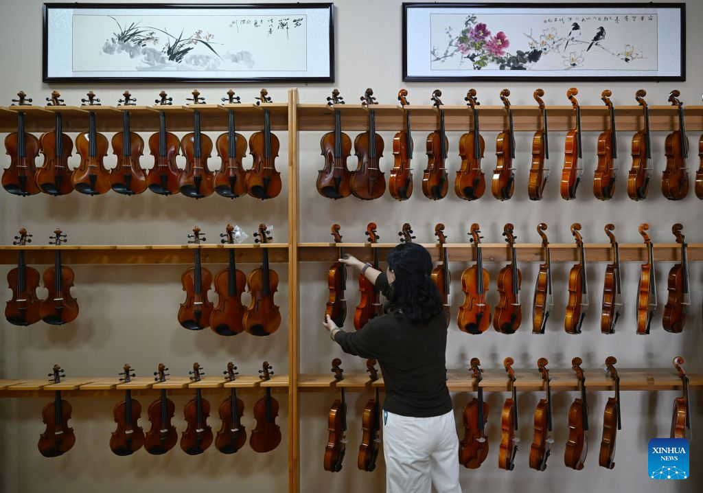 A staff member arranges products at a string instrument manufacturer in Queshan County of Zhumadian City, central China's Henan Province, Sept. 12, 2026. The violin-making industry of Queshan County thrived in recent years as skilled luthiers returned home to start their own businesses. With an annual output of about 400,000 violins, Queshan produces more than 80 percent of made-in-China medium- and high-end violins, violas, cellos, bass and violin accessories. Many violin-related products from Queshan are made for exports to international markets including Italy, the United States, France and Germany. (Xinhua/Hao Yuan)