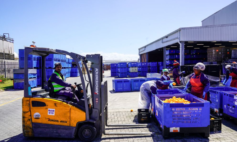 Workers sort fruit at a fruit export company in the Coega Industrial Development Zone in Gqeberha, South Africa, Sept. 29, 2026. South African food and agricultural exporters are increasingly pivoting toward China and other BRICS markets to expand sales and diversify their international footprint amid evolving global trade dynamics and market shifts. (Photo by Shiraaz Mohamed/Xinhua)