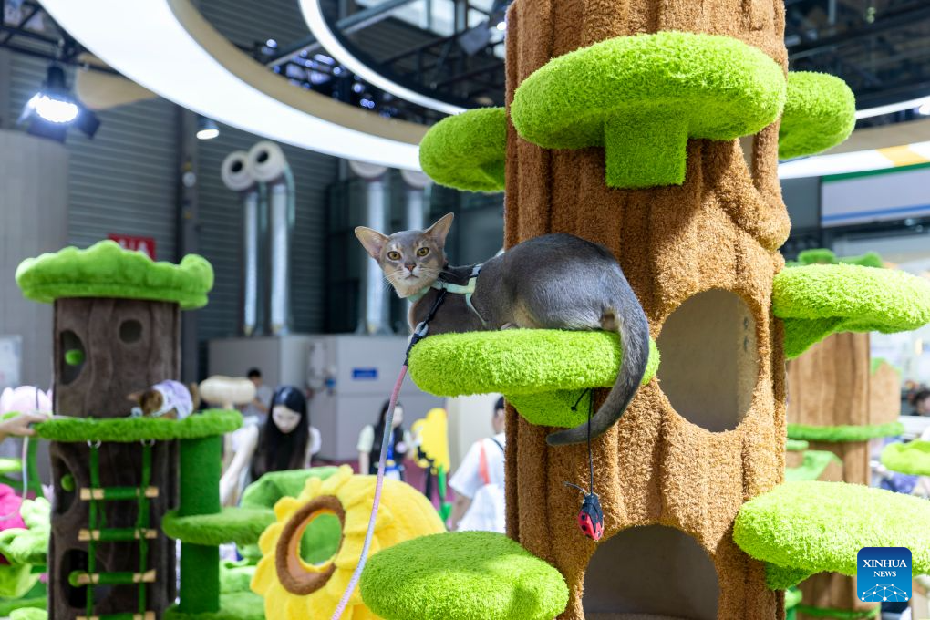A cat rests on a cat tree at the 28th Pet Fair Asia in east China's Shanghai, Aug. 20, 2026. Held from Aug. 19 to Aug. 23, the pet fair has attracted over 2,600 exhibitors. (Xinhua/Wang Xiang)