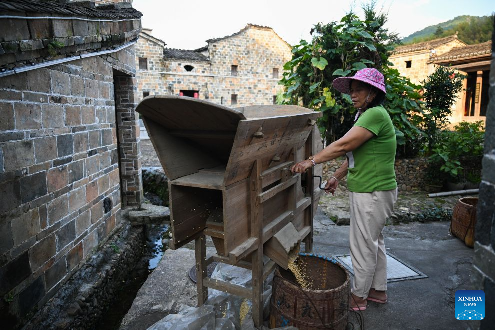 A resident screens the grain in Xiacao Village in Ninghua County, southeast China's Fujian Province, Sept. 8, 2026. This year marks the 90th anniversary of the victory of the Long March by the Red Army under the leadership of the Communist Party of China (CPC). Ninghua is one of the starting points of the Long March by the Central Red Army. Xiacao Village in Ninghua has profound heritage of revolutionary history. (Xinhua/Zheng Huansong)