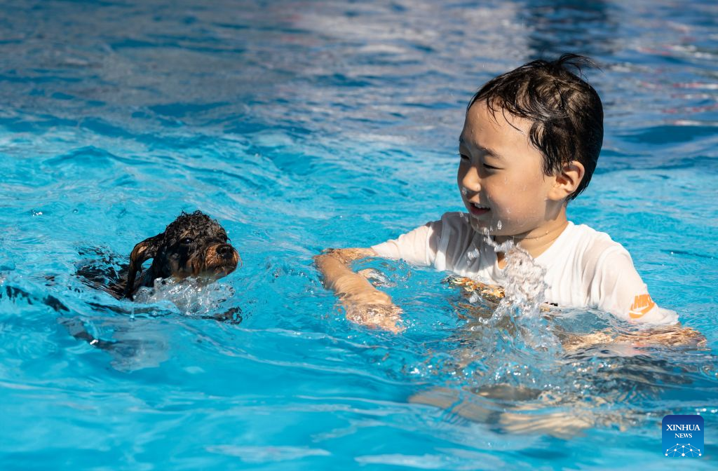 A child and his pet dog play in a pool to cool off amid a heatwave in Seoul, South Korea, Aug. 2, 2026. (Photo by Jun Hyosang/Xinhua)