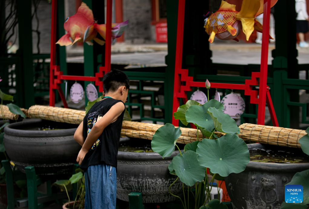 A boy visits a goldfish exhibition at the Prince Kung's Palace Museum in Beijing, capital of China, Aug. 11, 2026. The museum opened its fifth goldfish exhibition on Tuesday. (Xinhua)
