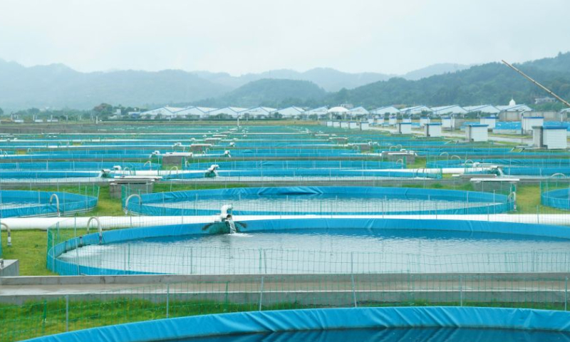 This photo taken on Sept. 17, 2026 shows outdoor recirculating aquaculture ponds at China Qingjiang (Yidu) Sturgeon Valley in Yidu City, central China's Hubei Province. (Xinhua/Lu Jinbo)