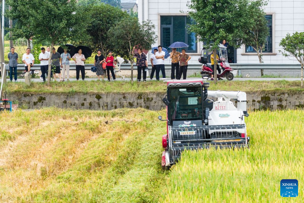 An aerial drone photo taken on June 22, 2026 shows an unmanned harvester operating in a rice field at a smart farm in Xiangjiang Village, Changsha City, central China's Hunan Province. Local farmers here are deploying various types of modern agricultural machinery and equipment during the summer harvest and planting season. (Xinhua/Chen Sihan)