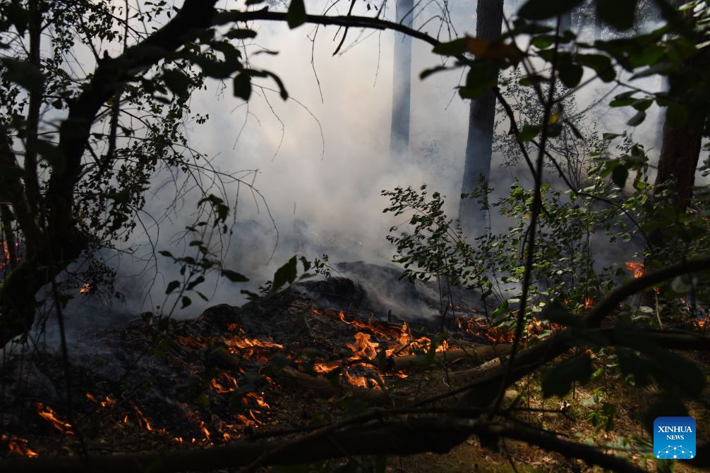 Wildfire is seen in Boschhuizerbergen nature reserve of Venray, the Netherlands, Aug. 6, 2026. (Xinhua/Shao Haijun)