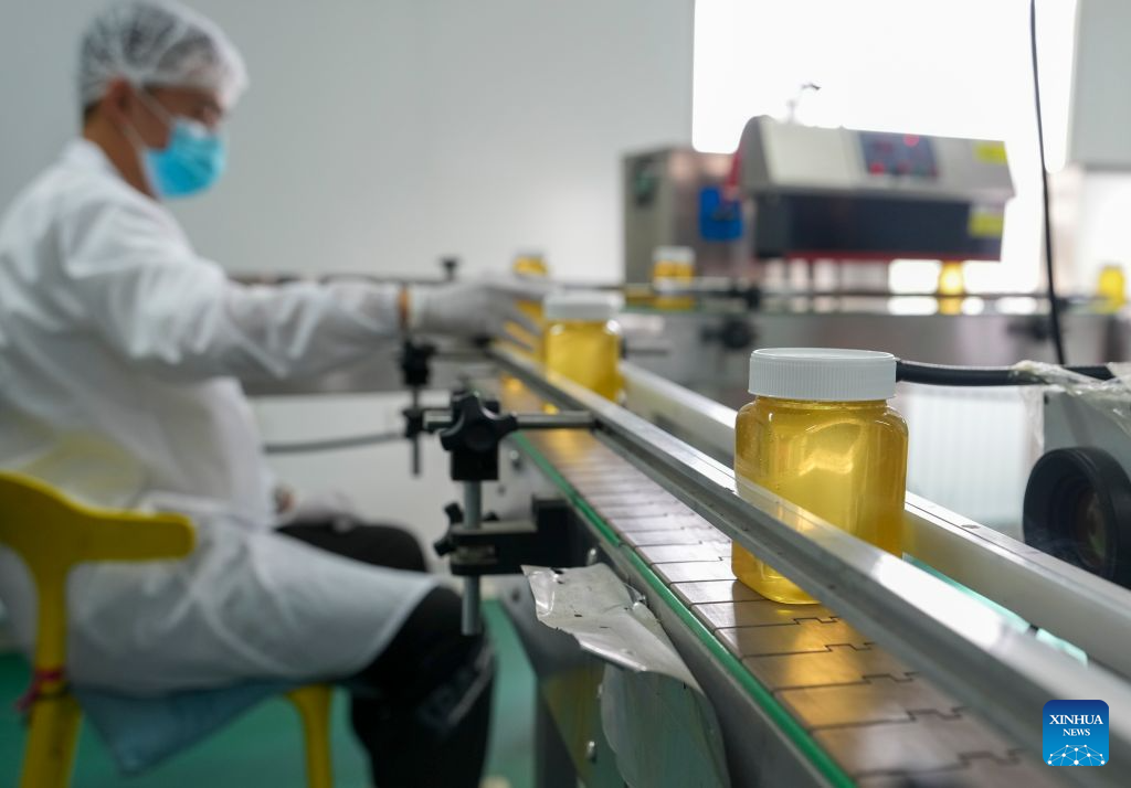 A staff member works at a black bee honey production line of a food company in Raohe County, northeast China's Heilongjiang Province, July 22, 2026.(Xinhua/Wang Song)