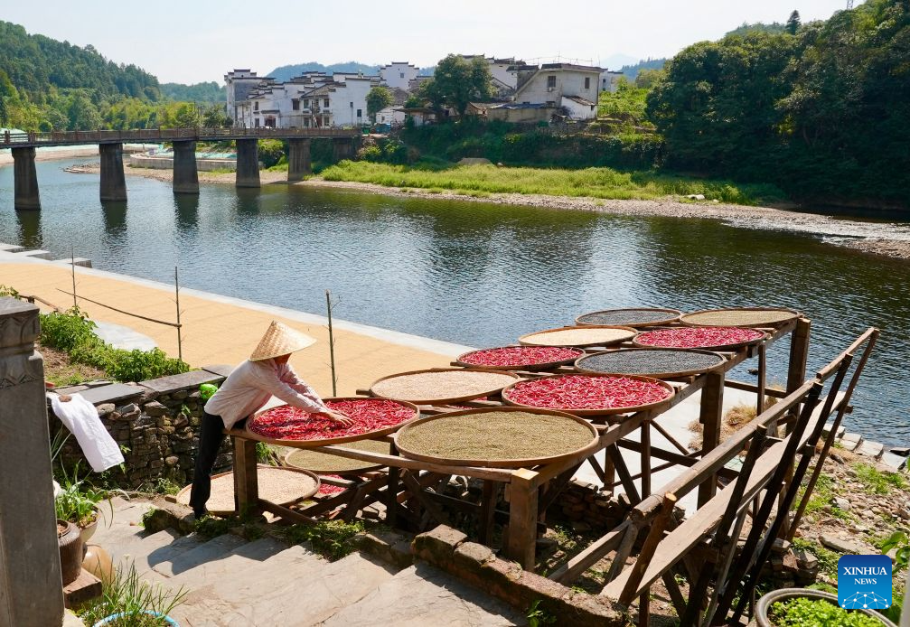 A villager arranges dried agricultural products in Wangkou Village of Wuyuan County, east China's Jiangxi Province, Sept. 15, 2026. In autumn, villagers are busy drying agricultural products in Wuyuan County, and the colorful scene attracts tourists. (Xinhua/Hu Chenhuan)