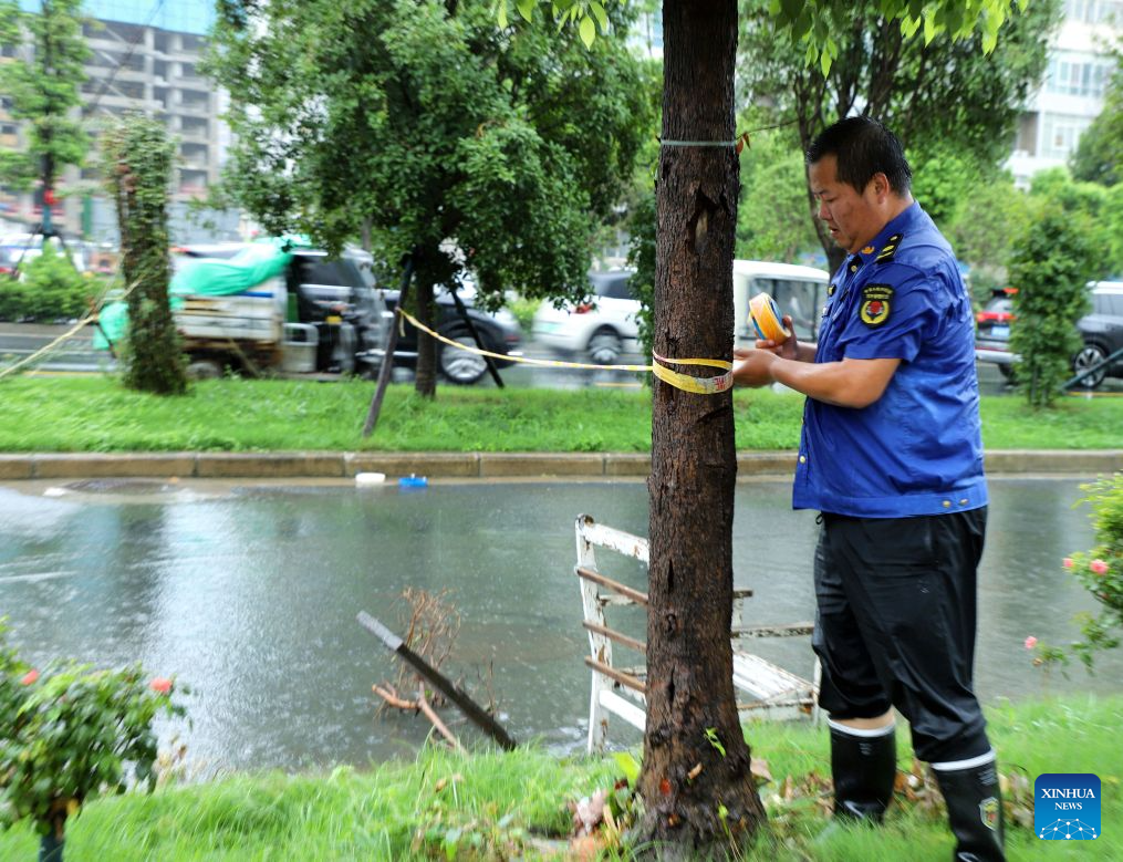 An urban management staff member sets up caution tape to warn public to stay away from water-logged section of a road in Nanyang City, central China's Henan Province, Aug. 11, 2026. Torrential rains and flooding caused by Typhoon Dolphin, the 13th typhoon of the year, have swept vast regions in eastern and central China. Local authorities are exerting all efforts to eradicate potential risks and put people's life back to normal. (Photo by Gao Song/Xinhua)