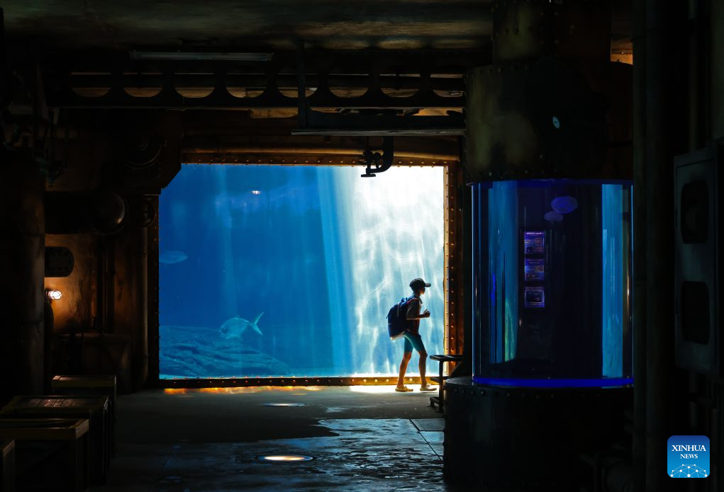 A tourist visits the aquarium at uShaka Marine World in Durban, South Africa, Aug. 16, 2026. Located in Durban, uShaka Marine World is a marine theme park featuring a shipwreck-themed aquarium, marine life exhibits and water attractions. (Xinhua/Chen Wei)