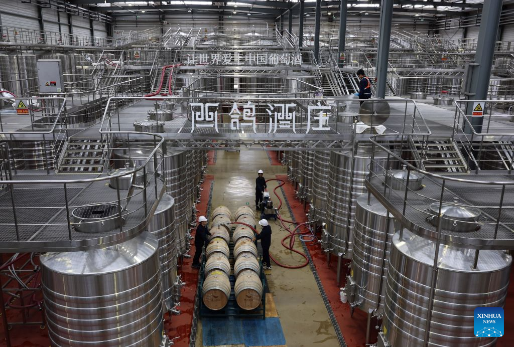 Workers operate at the fermentation workshop of Xige Estate in Qingtongxia, northwest China's Ningxia Hui Autonomous Region, Sept. 23, 2026. With its dry climate and abundant sunshine, Ningxia, particularly the vast area at the eastern foot of Helan Mountain, is widely considered a golden zone for viticulture and premium wine production.

As of 2025, the region's wine grape planting and development area has reached more than 600,000 mu (40,000 hectares). It is home to 261 wine enterprises, including 130 wineries, and its annual wine bottling volume stands at 140 million bottles, which are sold to more than 40 countries and regions.

In recent years, Ningxia's wine industry has built an industrial chain spanning planting, processing, cultural tourism, and sales. It receives more than 3.7 million tourist visits annually, generates over 50 billion yuan (about 7.455 billion U.S. dollars) in comprehensive benefits and creates jobs for local residents, injecting vitality into local economic development. (Xinhua/Liu Yun)