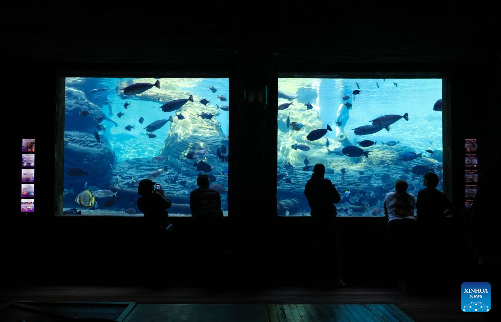 People visit the aquarium at uShaka Marine World in Durban, South Africa, Aug. 16, 2026. Located in Durban, uShaka Marine World is a marine theme park featuring a shipwreck-themed aquarium, marine life exhibits and water attractions. (Xinhua/Chen Wei)