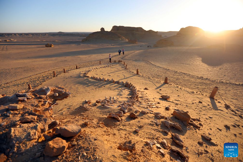 Tourists visit whale fossil remains at Wadi Al-Hitan, or the Whale Valley, in Fayoum, western Egypt, on Aug. 18, 2026. Wadi Al-Hitan, or the Whale Valley, located in the western desert of Egypt, contains invaluable fossil remains of the earliest, and now extinct, suborder of whales, Archaeoceti. It was listed as a World Heritage Site by UNESCO in 2005. (Xinhua/Ahmed Gomaa)