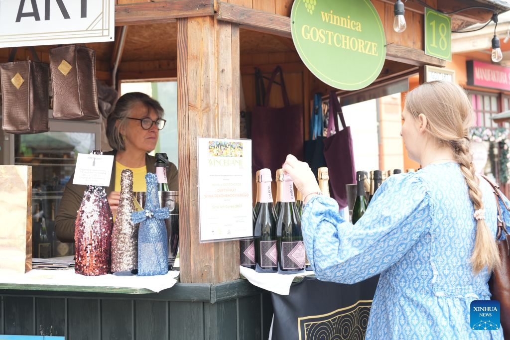 A visitor selects wines at a stall during the Winobranie Wine Festival in Zielona Gora, Poland, Sept. 13, 2026. (Xinhua/Yue Yuanyuan)