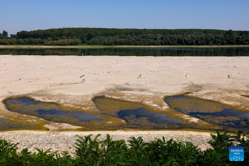 This photo taken on Aug. 5, 2026 shows the exposed riverbed of the Danube River in Rasova, southeastern Romania. Severe drought has triggered record-low water level of the Danube river. (Photo by Cristian Cristel/Xinhua)