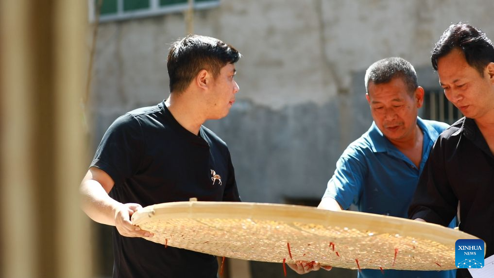 Chen Jianguo (L), Party secretary of Beishan Village, checks agricultural products in Beishan Village of Guangxin District in Shangrao City, east China's Jiangxi Province, July 23, 2026.
Chen Jianguo, Party secretary of Beishan Village, opened social media accounts to post farm produce promotion clips and leveraged livestreaming to sell local agricultural products. Villagers pack their produce up to his livestream sessions one after another, creating a bustling scene similar to open-air markets.
As e-commerce is increasingly employed to boost farmers' incomes, Party members and village officials are mobilized to participate actively in livestreaming sales, leading the way in navigating this new path to prosperity. (Xinhua/Peng Jing)