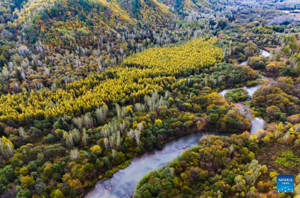 An aerial drone photo taken on Sept. 26, 2026 shows a view of Jiayin County of Yichun City, northeast China's Heilongjiang Province. In autumn, Heilongjiang Province is filled with vibrant colors. Mountains, forests and waters form a picturesque landscape, showcasing the beauty of autumn in northeastern China. (Photo by Li Shaojun/Xinhua)