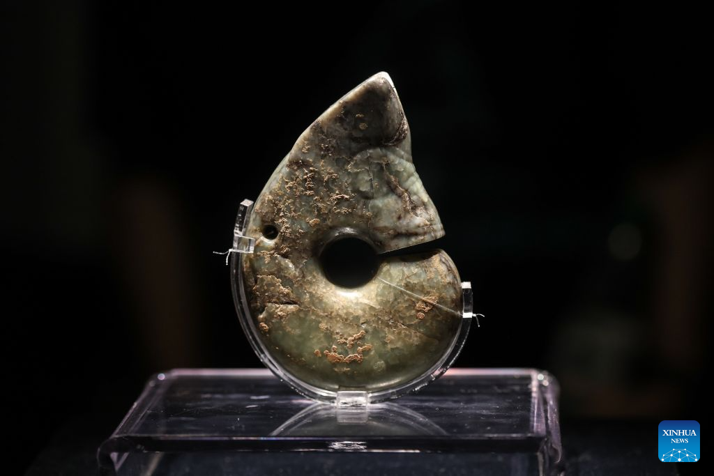 This photo taken on Aug. 4, 2026 shows the jade pig-dragon, a specific type of jade artifact originating from the Hongshan culture dating back roughly 5,000 to 6,000 years, at the Niuheliang site museum within the Niuheliang national archaeological relic site park in Chaoyang City, northeast China's Liaoning Province. The Niuheliang national archaeological relic site park was built on the Niuheliang site, a large-scale prehistoric ritual and burial complex featuring the temple of the goddess, altars and stone tombs. Dating back more than 5,000 years, the site unearthed stone tools, pottery and jade artifacts with dragon, phoenix and human motifs, reflecting the rituals and beliefs of the Hongshan culture. (Xinhua/Pan Yulong)