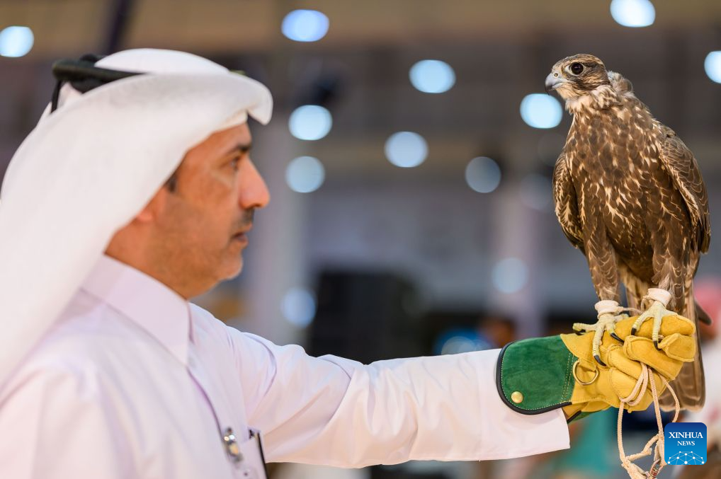 An exhibitor shows a falcon during the 10th Katara International Hunting and Falconry Exhibition, known as S'hail 2026, in Doha, Qatar, Sept. 8, 2026.

The event opened on Tuesday in Doha, bringing together 158 relevant companies and entities from 15 countries.

Running until Sept. 12, this year's edition features five main sections covering hunting weapons, falcon sales, equipment, off-road vehicle outfitting, and restaurants. Participants also include veterinary clinics, breeding farms, handicraft businesses, and safari and outdoor equipment companies. (Photo by Nikku/Xinhua)