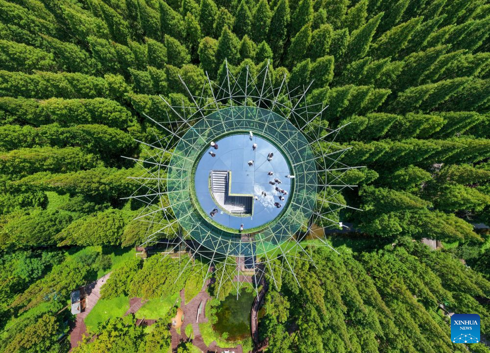 A drone photo taken on Aug. 16, 2026 shows a view of the Dongtai Huanghai Forest Park in Dongtai of Yancheng, east China's Jiangsu Province. (Xinhua/Li Bo)