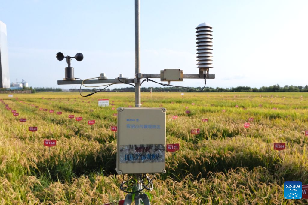 This photo taken on Aug. 31, 2026 shows a weather monitoring device in Wuchang City, northeast China's Heilongjiang Province. (Xinhua/Ji Hang)