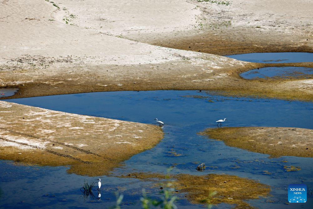 This photo taken on Aug. 5, 2026 shows the exposed riverbed of the Danube River in Rasova, southeastern Romania. Severe drought has triggered record-low water level of the Danube river. (Photo by Cristian Cristel/Xinhua)