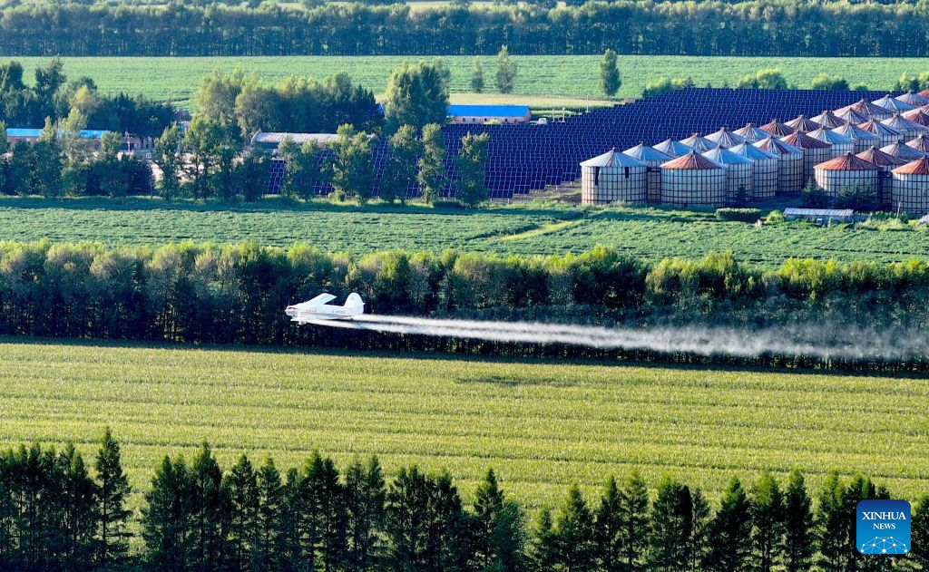 An aerial drone photo taken on July 28, 2026 shows an agricultural plane carrying out aerial crop protection operations over a corn field of Beidahuang Group in northeast China's Heilongjiang Province. Various agricultural production units under Beidahuang Group in Heilongjiang Province have launched aerial crop protection operations over farmlands in succession, safeguarding stable autumn grain production through scientific and technological methods. (Photo by Qian Boyu/Xinhua)