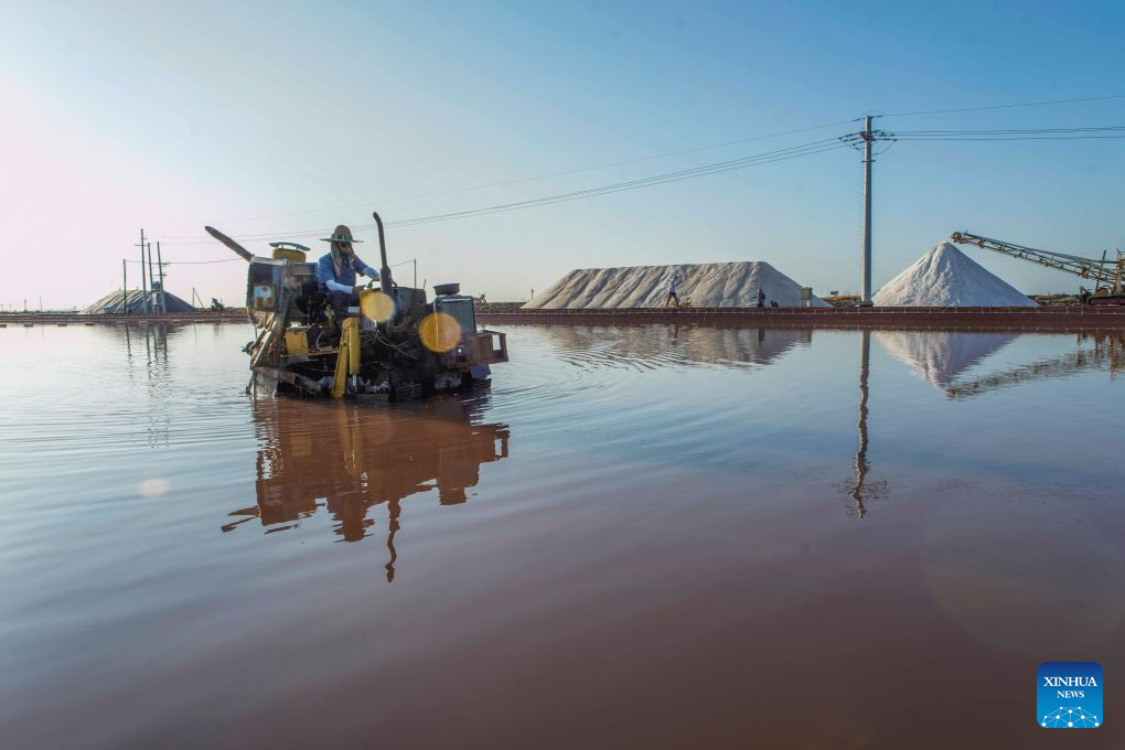 People work at a salt farm in Tangshan City, north China's Hebei Province, Sept. 1, 2026. (Photo by Li Lei/Xinhua)