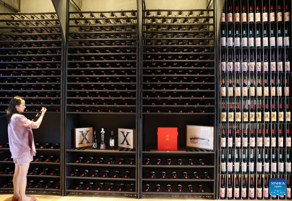 A woman checks a bottle of wine at an exhibition hall of Xige Estate in Qingtongxia, northwest China's Ningxia Hui Autonomous Region, Sept. 23, 2026. With its dry climate and abundant sunshine, Ningxia, particularly the vast area at the eastern foot of Helan Mountain, is widely considered a golden zone for viticulture and premium wine production.

As of 2025, the region's wine grape planting and development area has reached more than 600,000 mu (40,000 hectares). It is home to 261 wine enterprises, including 130 wineries, and its annual wine bottling volume stands at 140 million bottles, which are sold to more than 40 countries and regions.

In recent years, Ningxia's wine industry has built an industrial chain spanning planting, processing, cultural tourism, and sales. It receives more than 3.7 million tourist visits annually, generates over 50 billion yuan (about 7.455 billion U.S. dollars) in comprehensive benefits and creates jobs for local residents, injecting vitality into local economic development. (Xinhua/Liu Yun)