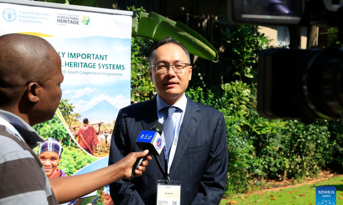 Du Lei, counselor at the Chinese Embassy in South Africa, speaks during an interview with Xinhua in Johannesburg, South Africa, Sept. 28, 2026. (Xinhua/Chen Wei)
