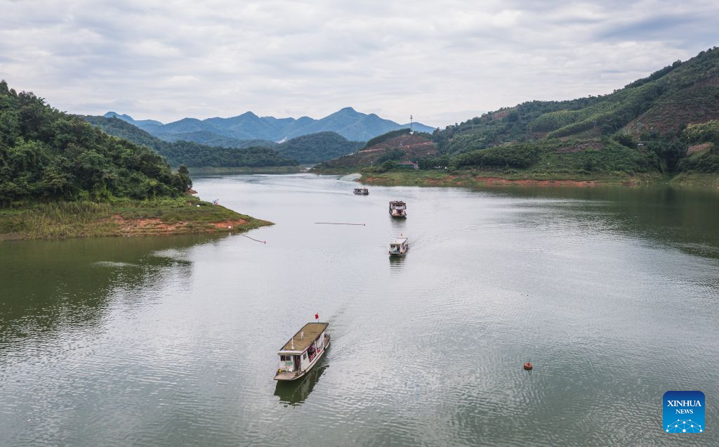 An aerial drone photo taken on Aug. 30, 2026 shows ferries transporting students to school in Bo'ai Town of Funing County, Wenshan Zhuang and Miao Autonomous Prefecture, southwest China's Yunnan Province. Bo'ai Town in Funing County is surrounded by mountains, with rough roads and many rivers. For many years, students from nearby villages had a difficult trip to school. They either traveled on mountain roads by vehicle or crossed rivers on privately run boats to arrive at schools in the town.

Since 2021, local authorities have worked together to provide free ferry services for students. Seven water school buses now run regularly at 12 ferry crossings in the town, taking students to and from school at different time according to their school schedules.

Today, 329 students in Bo'ai Town use the ferry services. Since 2021, the service has carried students on more than 147,000 trips. (Xinhua/Wang Guansen)