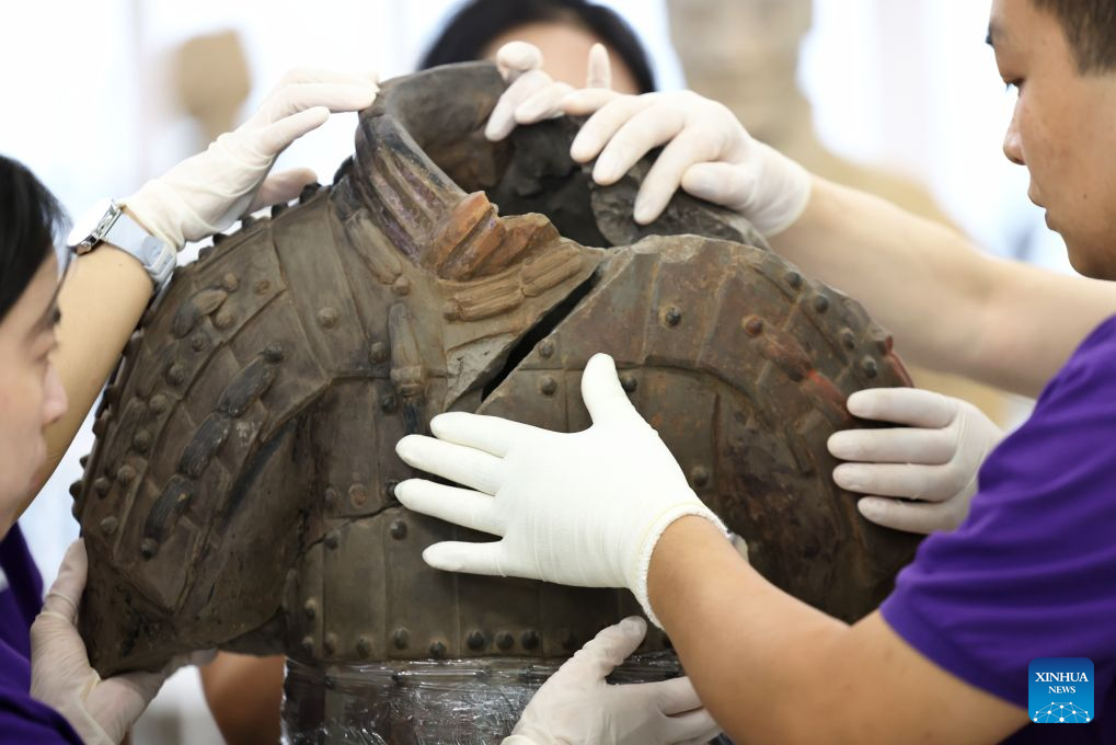 Restoration specialists piece together a terracotta warrior at the on-site conservation lab of the Pit No.1 of the Emperor Qinshihuang's Mausoleum Site Museum in Xi'an, northwest China's Shaanxi Province, Sept. 3, 2026.
At the world-famous Terracotta Warriors site in Xi'an, visitors can now witness a once behind-the-scenes process -- experts meticulously restoring over 2,000-year-old clay soldiers. At the newly launched conservation lab in Pit No. 1, specialists piece fragmented pottery together manually, reviving scattered relics into solemn and life-size warriors.
The lab officially opened in 2024, celebrating the 50th anniversary of the discovery and excavation of the iconic Terracotta Warriors. A professional excavation and preservation facility in Pit No. 2 was also completed and put into operation. The two facilities form a full-cycle conservation system covering excavation, transportation, restoration and storage.
This advanced system greatly improves the protection of the warriors' original pigments. Buried underground for over 2,000 years, the Terracotta Warriors suffered severe damage from fires, soil collapses and underground water fluctuations, with most original colors fading away over time. Previously, surviving paint layer would easily curl, peel or flake off once exposed to drastic environmental changes after excavation. Today, newly unearthed painted relics are directly transferred to the on-site lab. Through keeping stable humidity control, ultrasonic inspection, 3D scanning, professional cleaning and reinforcement treatment, researchers now do their utmost to preserve the warriors' ancient original hues. (Xinhua/Li Yibo)