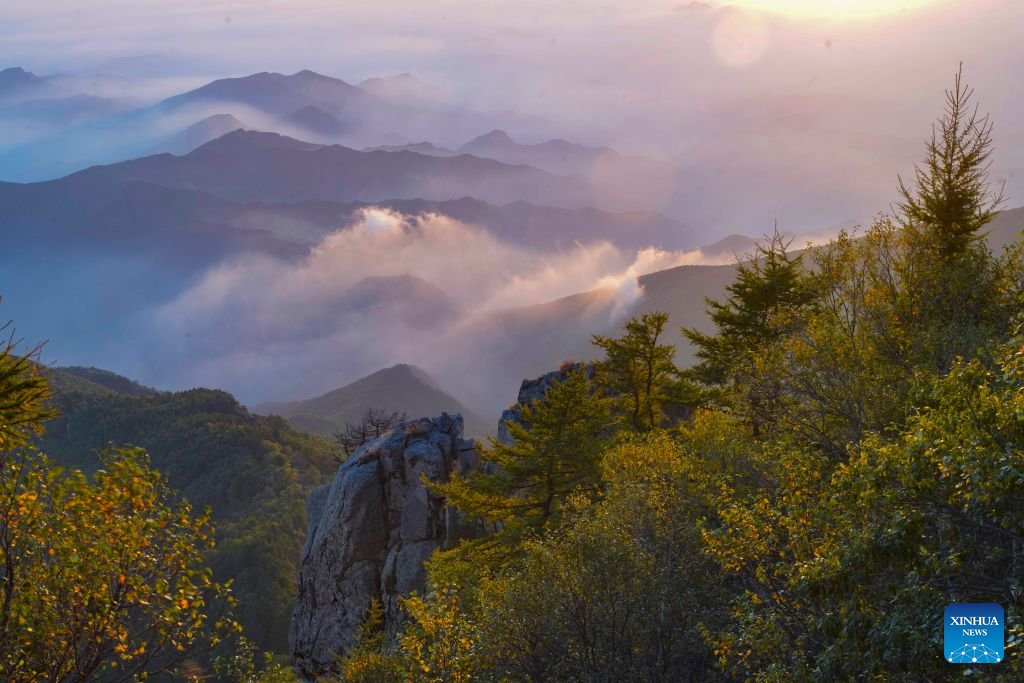 This photo taken on Sept. 16, 2026 shows the morning scenery at Wuling Mountain National Nature Reserve in Xinglong County of Chengde City, north China's Hebei Province. (Photo by Liu Mancang/Xinhua)