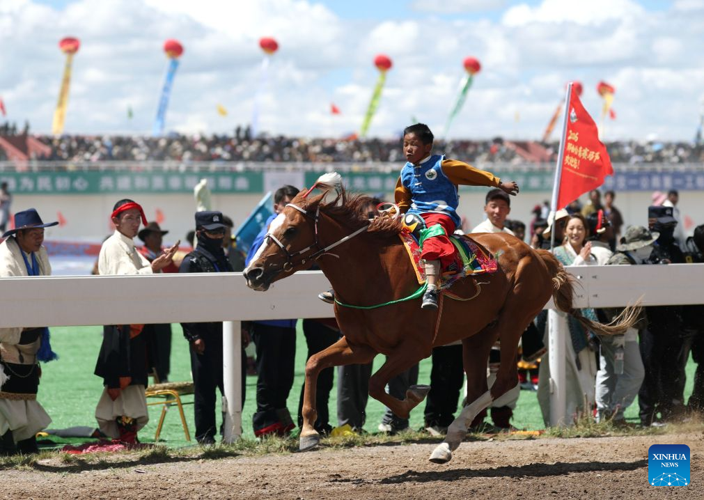 Champion rider and horse competes during the invitational 10,000m speed race of famous horse at the Nagqu Horse Racing Festival 2026 at Gesar Racecourse in Nagqu, southwest China's Xizang Autonomous Region, Aug. 10, 2026. Featuring traditional equestrian contests, ethnic sports performances and trade fair, the event kicked off here on Monday, drawing large crowds of locals and visitors. (Xinhua/Zhang Chen)