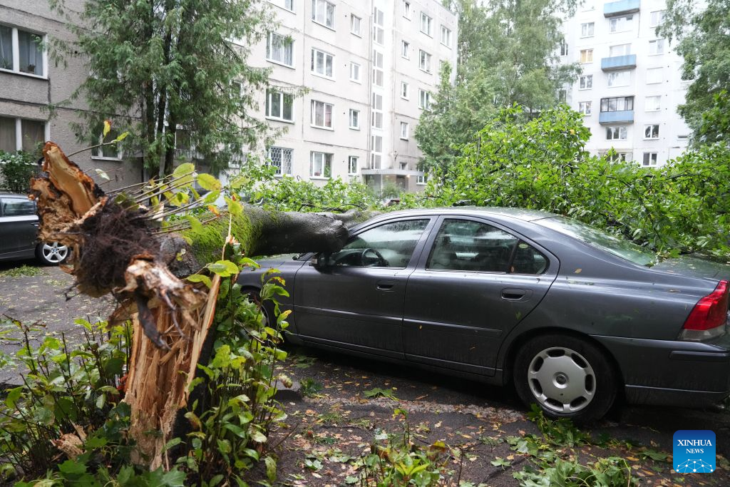 This photo taken on Aug. 23, 2026 shows the aftermath of a powerful storm in Riga, Latvia. A powerful cyclone swept northward across the three Baltic states on Saturday, killing two as strong winds, torrential rain and thunderstorms ravaged Lithuania, Latvia and Estonia.

Meteorological data showed Saturday's storm was the most destructive to hit Latvia since January 2005. (Photo by Edijs Palens/Xinhua)