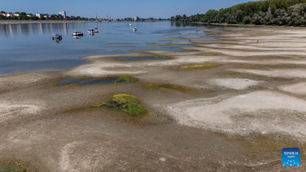 This aerial drone photo taken on Aug. 4, 2026 shows the exposed riverbed of the Danube River near Vukovar, Croatia after a prolonged heatwave. (Davor Javorovic/PIXSELL via Xinhua)