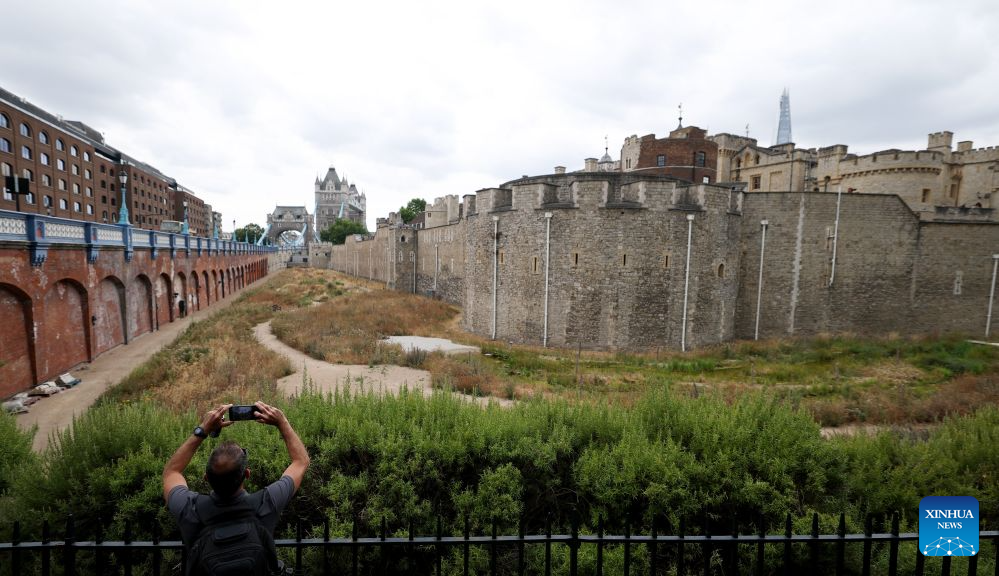 A man takes photos of the dry garden outside the Tower of London, turned yellow-brown due to dryness, in London, Britain, on Aug. 18, 2026. In Britain, extreme dryness becomes a defining feature of the summer. Provisional data from the Met Office showed that England and Wales experienced their driest July on record, while nearly three-quarters of England was officially under drought conditions by Aug. 10. (Xinhua/Li Ying)