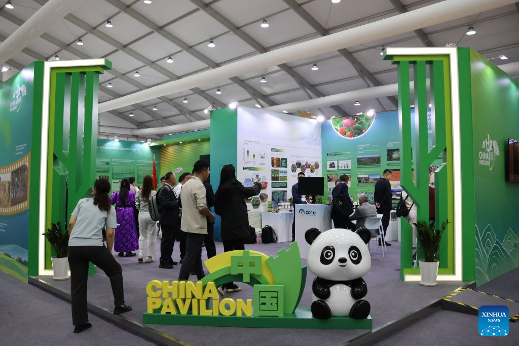 People visit the exhibition area of the China Corner in the Blue Zone of the 17th Session of the Conference of the Parties (COP17) to the United Nations Convention to Combat Desertification (UNCCD) in Ulan Bator, Mongolia, Aug. 17, 2026. The China Corner themed exhibition made its debut on Monday, showcasing China's experience and achievements in combating desertification. (Xinhua/Bolortsetseg)