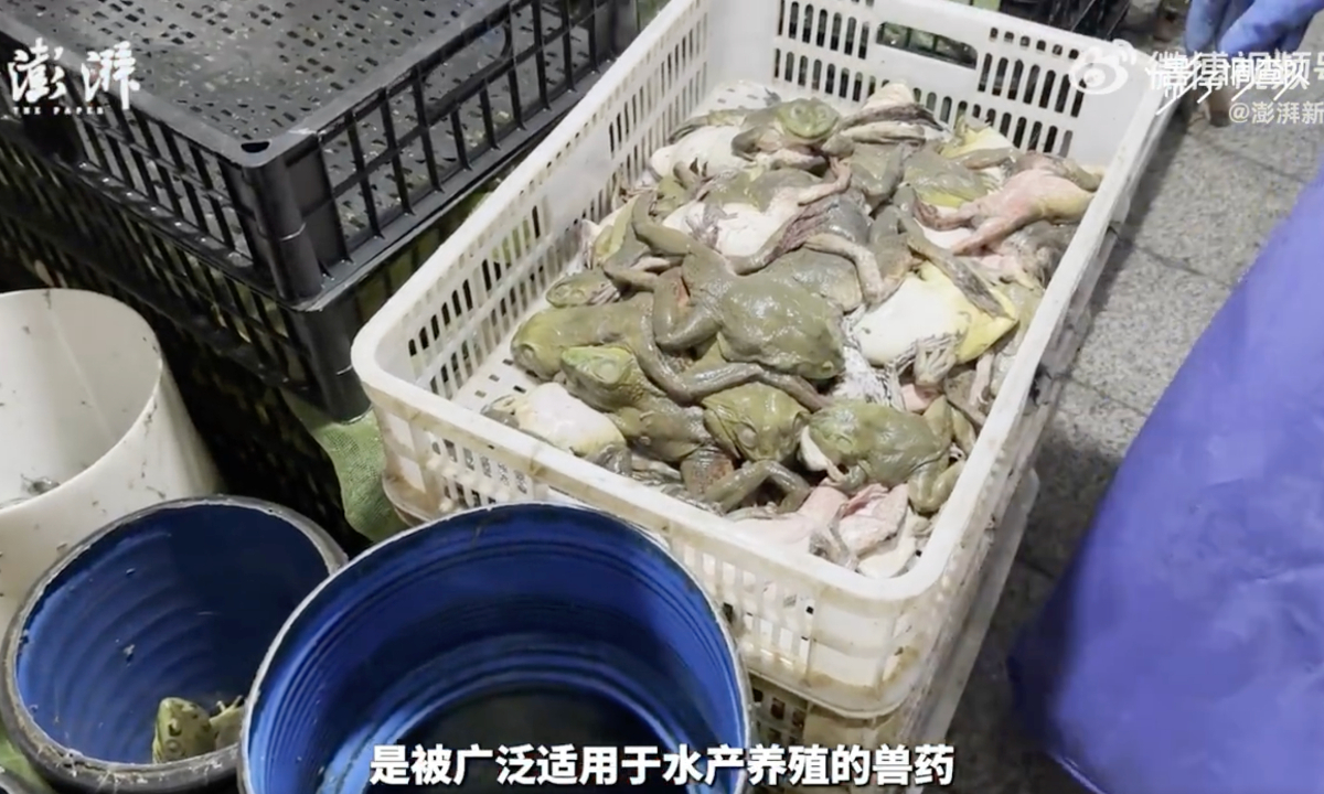 Photo: Screenshot from Sina Weibo