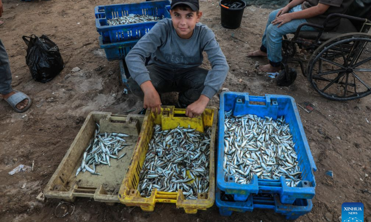 A Palestinian boy sells fish at Gaza's seaport, in Gaza City, on Sept. 3, 2026. (Photo by Rizek Abdeljawad/Xinhua)