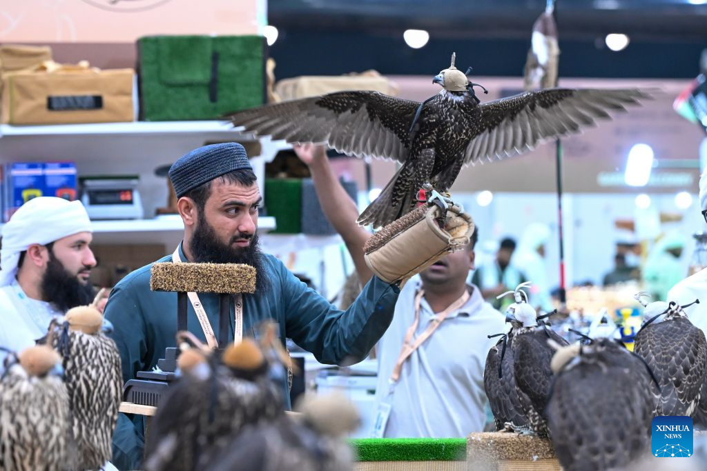 An exhibitor displays a falcon during the 2026 Abu Dhabi International Hunting and Equestrian Exhibition (ADIHEX) in Abu Dhabi, the United Arab Emirates, Sept. 2, 2026. ADIHEX 2026 is held here from Aug. 28 to Sept. 6. (Xinhua/Wang Zecong)