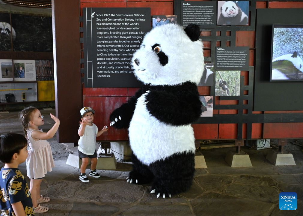 Children interact with a giant panda mascot during celebrations marking the fifth birthday of giant panda Bao Li at the Smithsonian's National Zoo in Washington, D.C., the United States, on Aug. 4, 2026. (Xinhua/Li Rui)