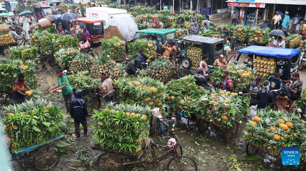 Traders sell pineapples at Jalchhatra Bazaar in Madhupur, Tangail district, Bangladesh, on Aug. 4, 2026. (Photo by Habibur Rahman/Xinhua)