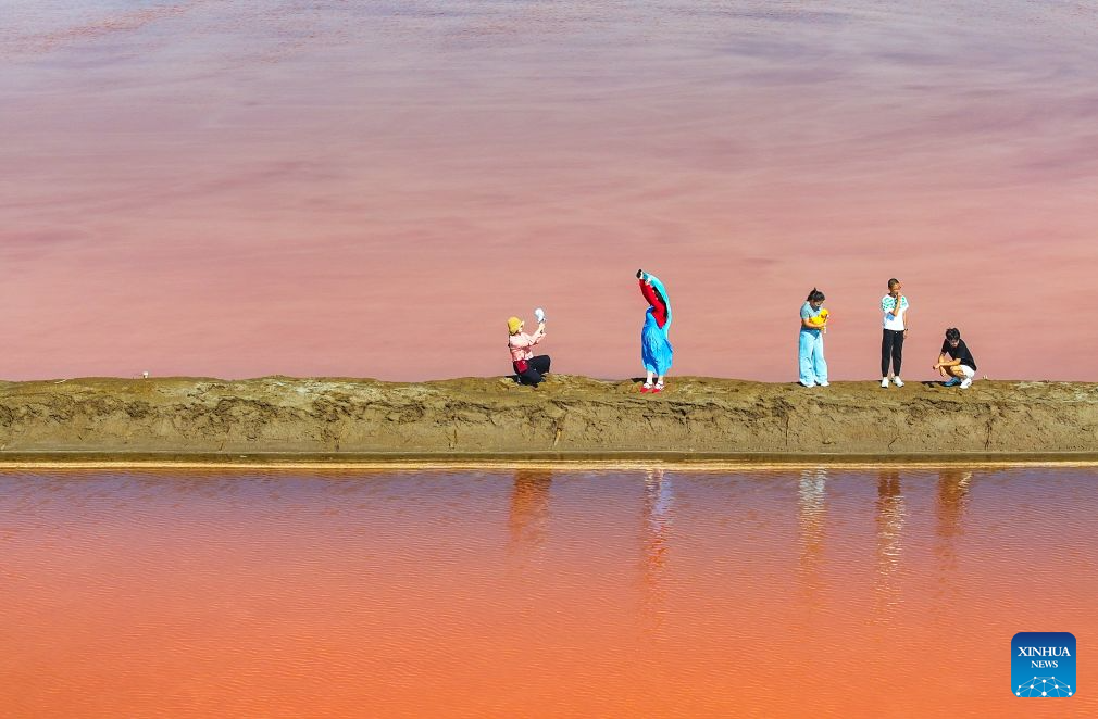 A drone photo taken on Aug. 5, 2026 shows tourists having fun at a salt lake in Otog Front Banner in the city of Ordos, north China's Inner Mongolia Autonomous Region. (Photo by Wang Zheng/Xinhua)