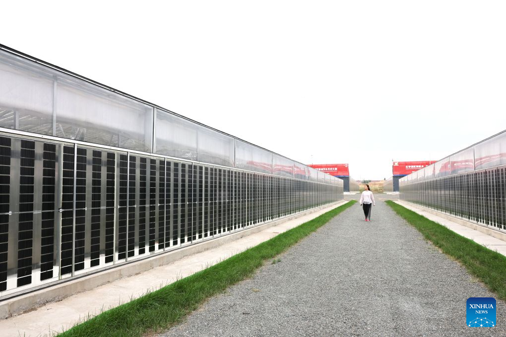 A staff member checks on photovoltaic panels outside water-saving photovoltaic greenhouses in Hongsibu District of Wuzhong, northwest China's Ningxia Hui Autonomous Region, Sept. 20, 2026. Based on local agricultural conditions, farmers in Hongsibu District have built photovoltaic greenhouses, integrating photovoltaic power generation, intelligent temperature control, and precision water-saving technologies. (Xinhua/Liu Yun)