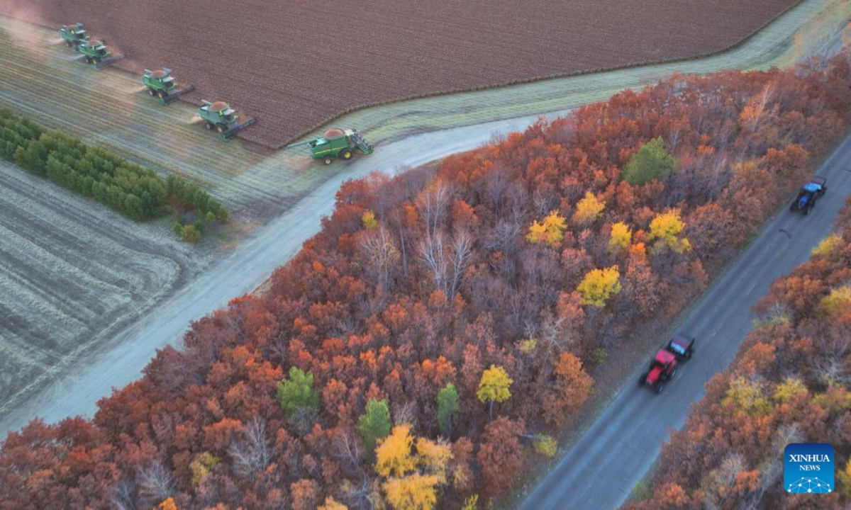 An aerial drone photo taken on Oct. 9, 2026 shows harvesters working at a sorghum field of a farm under Beidahuang Group in northeast China's Heilongjiang Province. (Photo by Lin Jinchun/Xinhua)